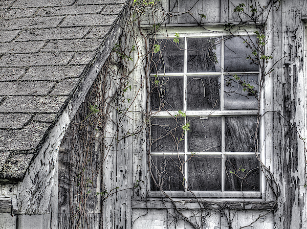 Tocks Island Remnant by Dawn J Benko Tocks Island Remnant by Dawn J Benko